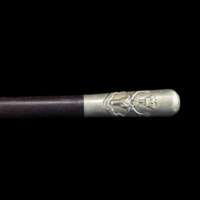 Image of Regimental cane  is  in copyright