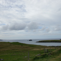 Shetland.jpg