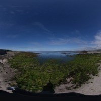 poolwestness.jpg